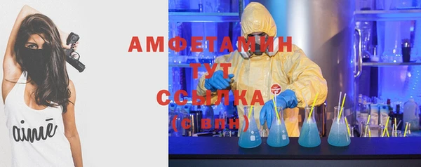 трава Наволоки