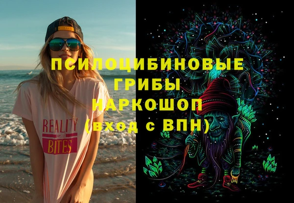 ПСИЛОЦИБИНОВЫЕ ГРИБЫ Надым
