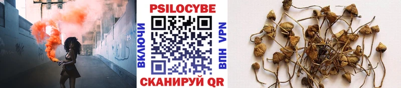 Купить  Сольвычегодск  Псилоцибиновые грибы Psilocybine cubensis 